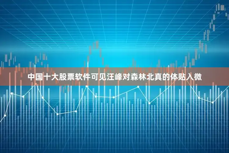 中国十大股票软件可见汪峰对森林北真的体贴入微