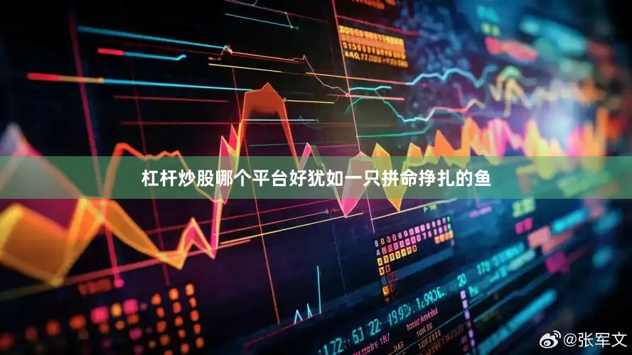 杠杆炒股哪个平台好犹如一只拼命挣扎的鱼