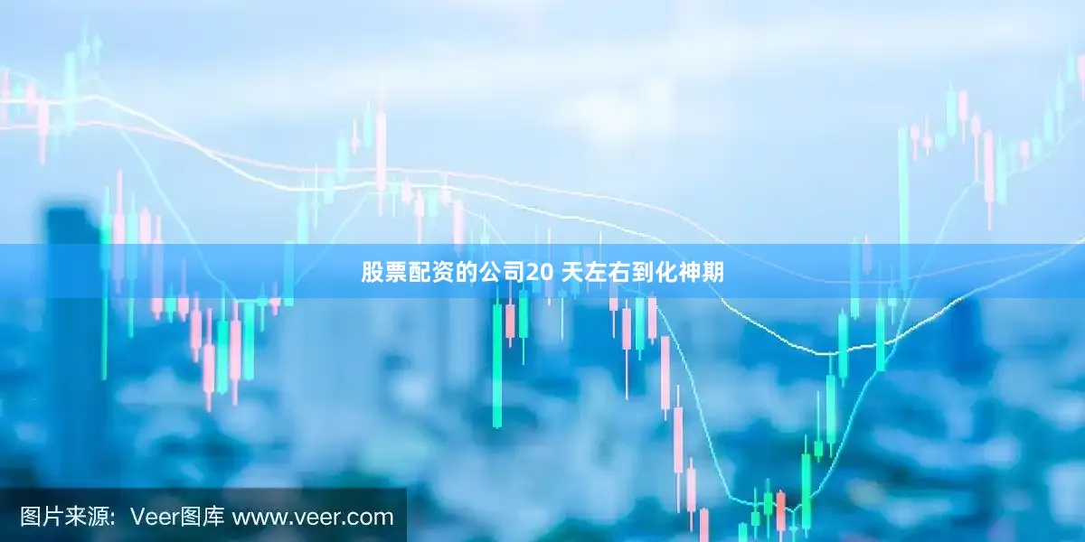 股票配资的公司20 天左右到化神期
